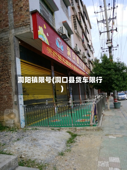 洞阳镇限号(洞口县货车限行)