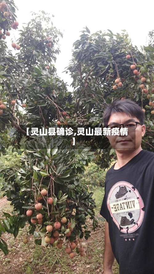 【灵山县确诊,灵山最新疫情】-第2张图片