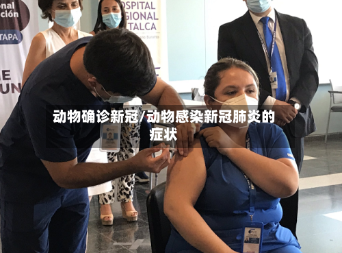 动物确诊新冠/动物感染新冠肺炎的症状-第2张图片
