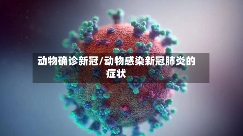 动物确诊新冠/动物感染新冠肺炎的症状