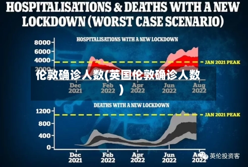 伦敦确诊人数(英国伦敦确诊人数)