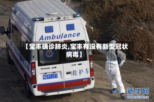 【宝丰确诊肺炎,宝丰有没有新型冠状病毒】