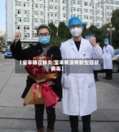 【宝丰确诊肺炎,宝丰有没有新型冠状病毒】-第3张图片