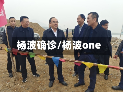 杨波确诊/杨波one