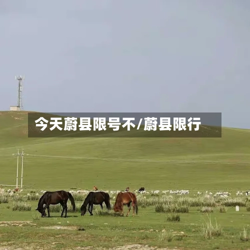 今天蔚县限号不/蔚县限行