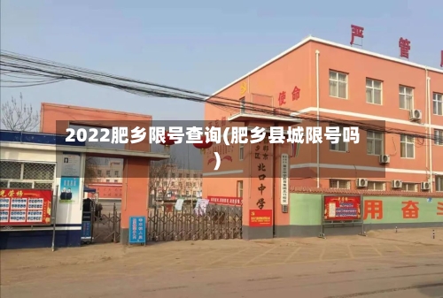 2022肥乡限号查询(肥乡县城限号吗)-第2张图片
