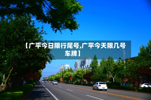 【广平今日限行尾号,广平今天限几号车牌】