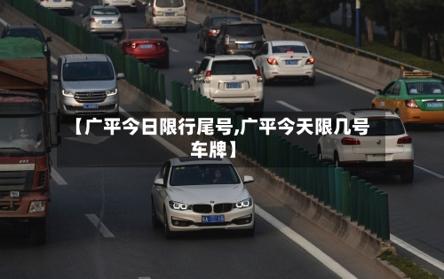 【广平今日限行尾号,广平今天限几号车牌】-第2张图片