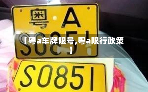 【粤a车牌限号,粤a限行政策】-第2张图片