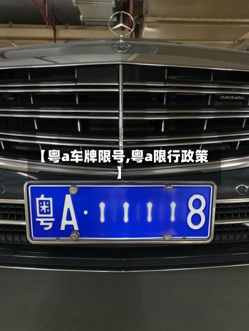 【粤a车牌限号,粤a限行政策】