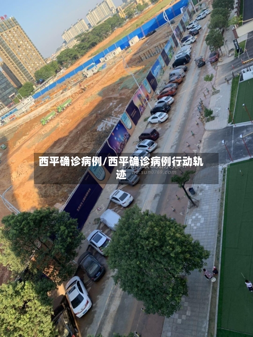 西平确诊病例/西平确诊病例行动轨迹-第2张图片
