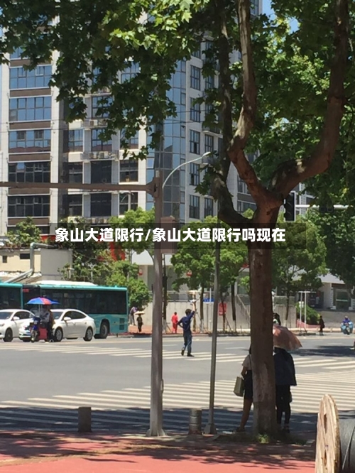 象山大道限行/象山大道限行吗现在-第3张图片