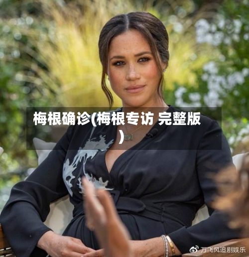 梅根确诊(梅根专访 完整版)-第3张图片