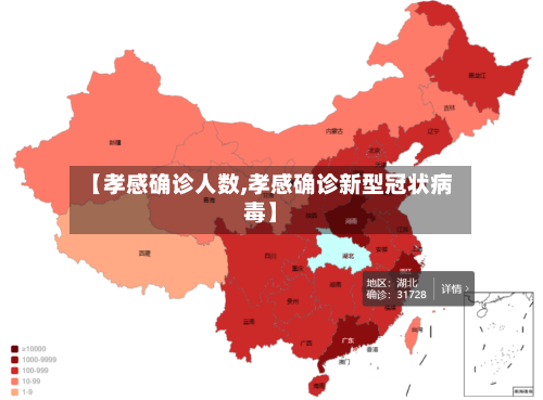 【孝感确诊人数,孝感确诊新型冠状病毒】
