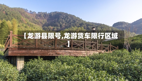 【龙游县限号,龙游货车限行区域】