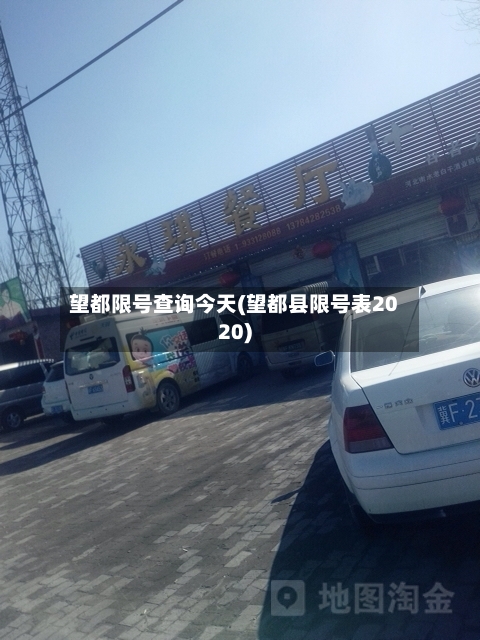 望都限号查询今天(望都县限号表2020)