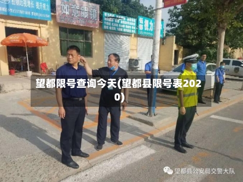 望都限号查询今天(望都县限号表2020)-第2张图片