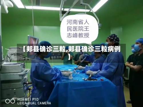 【郏县确诊三粒,郏县确诊三粒病例】-第2张图片