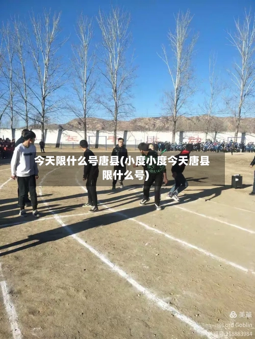 今天限什么号唐县(小度小度今天唐县限什么号)