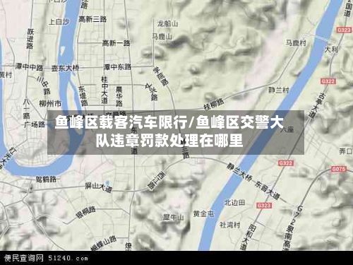 鱼峰区载客汽车限行/鱼峰区交警大队违章罚款处理在哪里-第3张图片