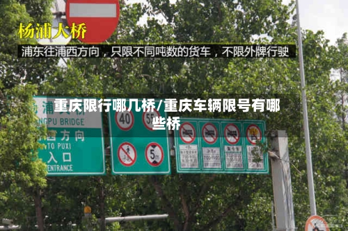 重庆限行哪几桥/重庆车辆限号有哪些桥-第2张图片