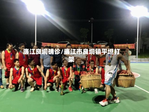 廉江良垌确诊/廉江市良垌镇平坦打架