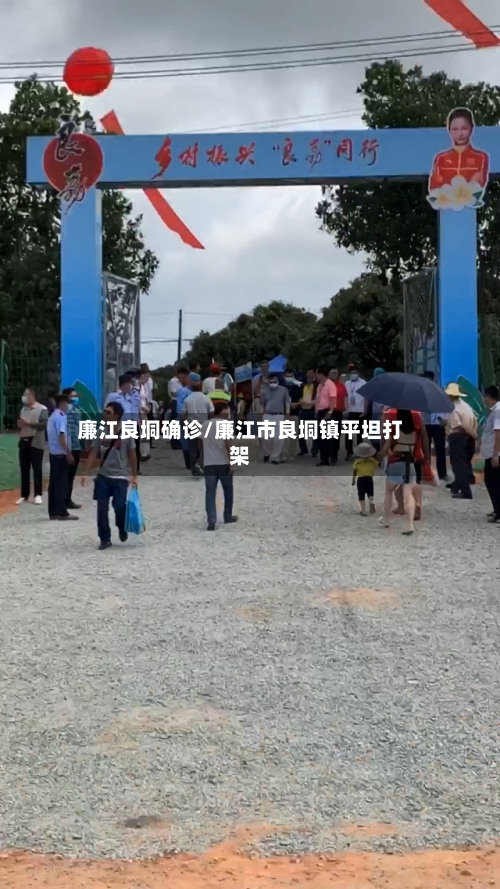 廉江良垌确诊/廉江市良垌镇平坦打架-第2张图片