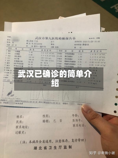 武汉已确诊的简单介绍