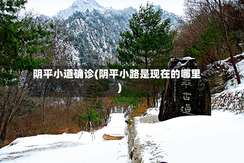 阴平小道确诊(阴平小路是现在的哪里)-第2张图片