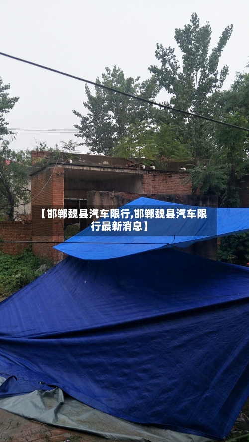 【邯郸魏县汽车限行,邯郸魏县汽车限行最新消息】-第2张图片