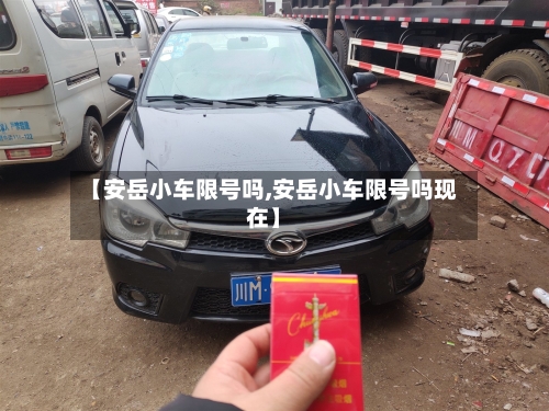 【安岳小车限号吗,安岳小车限号吗现在】-第3张图片