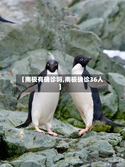 【南极有确诊吗,南极确诊36人】