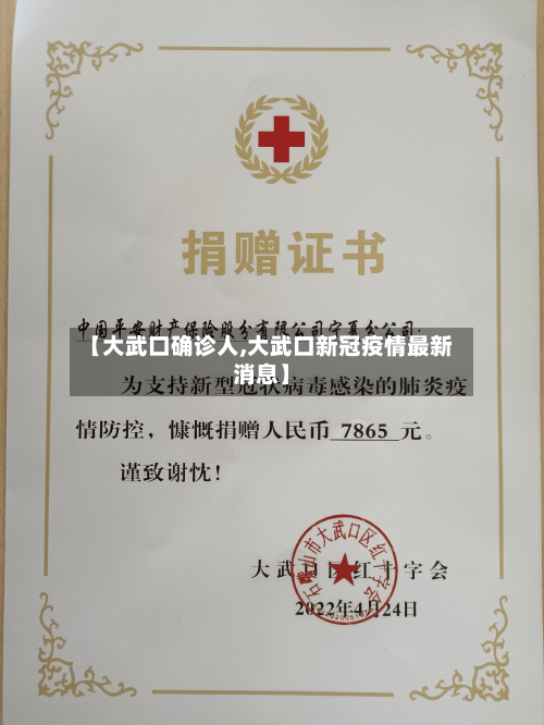 【大武口确诊人,大武口新冠疫情最新消息】-第2张图片