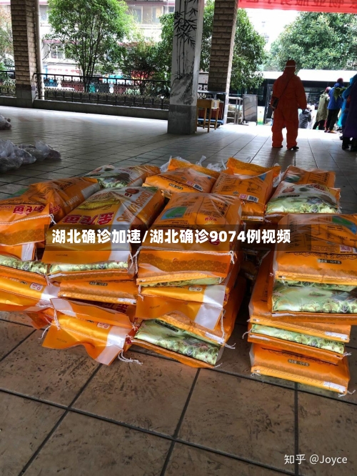 湖北确诊加速/湖北确诊9074例视频-第2张图片