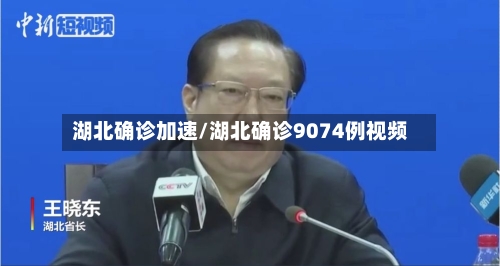 湖北确诊加速/湖北确诊9074例视频-第3张图片