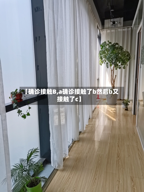 【确诊接触B,a确诊接触了b然后b又接触了c】-第2张图片