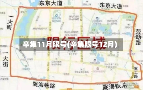 辛集11月限号(辛集限号12月)-第2张图片