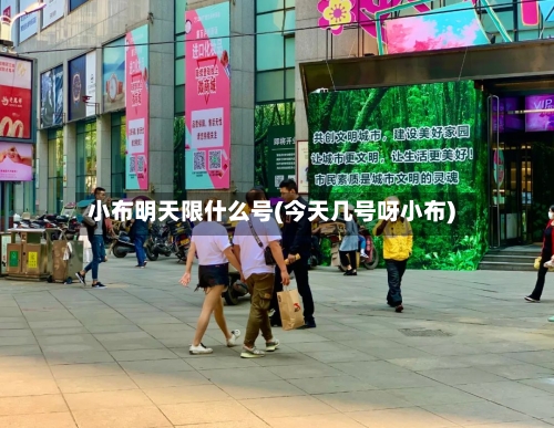 小布明天限什么号(今天几号呀小布)