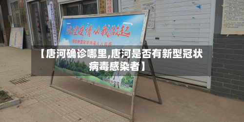【唐河确诊哪里,唐河是否有新型冠状病毒感染者】-第2张图片