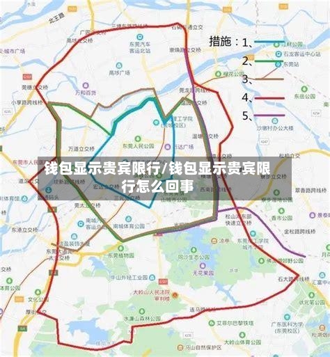钱包显示贵宾限行/钱包显示贵宾限行怎么回事-第2张图片