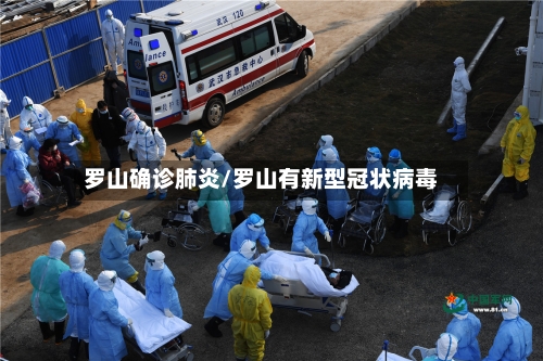 罗山确诊肺炎/罗山有新型冠状病毒-第2张图片