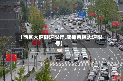 【西区大道隧道限行,成都西区大道限号】-第3张图片