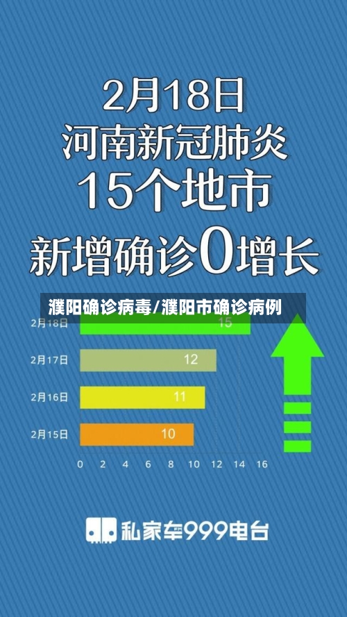 濮阳确诊病毒/濮阳市确诊病例