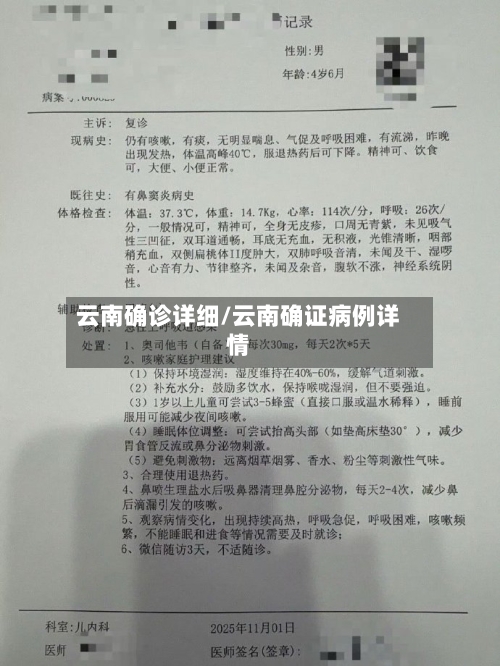 云南确诊详细/云南确证病例详情