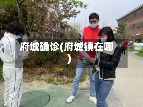府城确诊(府城镇在哪)