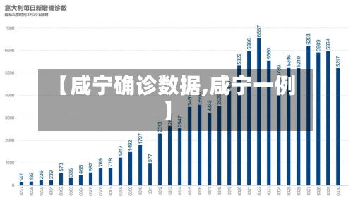 【咸宁确诊数据,咸宁一例】