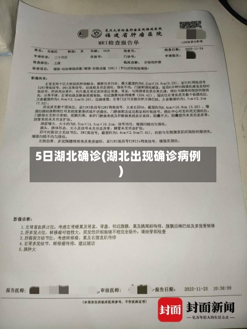5日湖北确诊(湖北出现确诊病例)-第2张图片