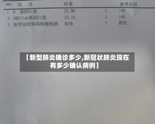 【新型肺炎确诊多少,新冠状肺炎现在有多少确认病例】-第3张图片