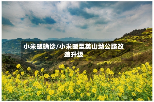 小米畈确诊/小米畈至英山坳公路改造升级-第3张图片