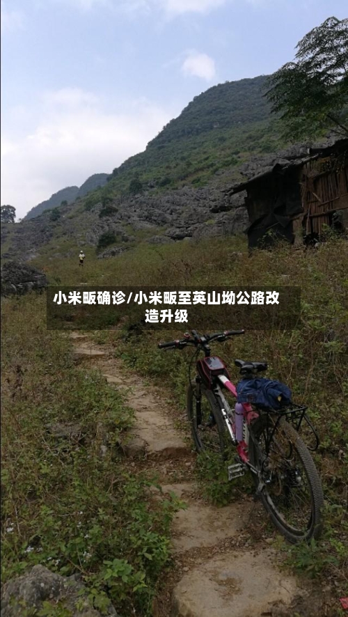 小米畈确诊/小米畈至英山坳公路改造升级